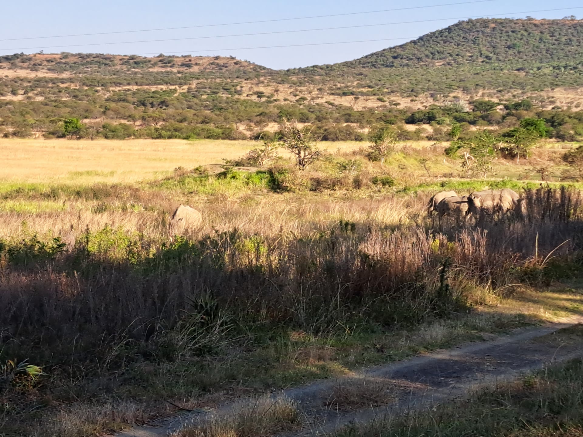 Africká krajina